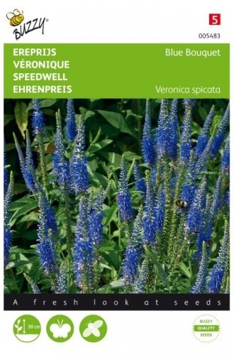 Veronica spicata Blue Bouquet cca 25 semien
